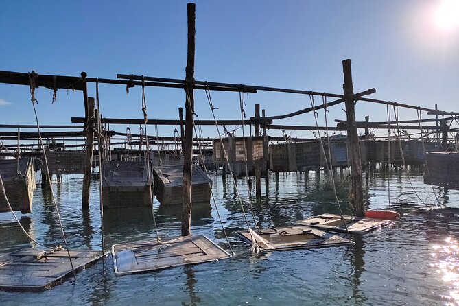 Chioggia : Aquaculture Secrets Tours of the Lagoon - Oyster Farming: Discovering How the Bounty Is Nurtured