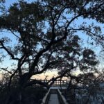 Chipinque Natural Park - Morning / Afternoon Hike - Starting Point and Transportation to Chipinque Natural Park