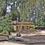 Chlemoutsi caste - Kyllini shore excursion from Katakolon port - Visiting Chlemoutsi Castle: A Medieval Marvel