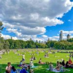 Christmas in Central Park: Horse Carriage Holiday Tour - The Festive Carriage Decor and Warmth