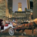 Christmas in New York: Holiday Lights Horse Carriage Ride - Explore Rockefeller Center’s Iconic Christmas Tree and Rink