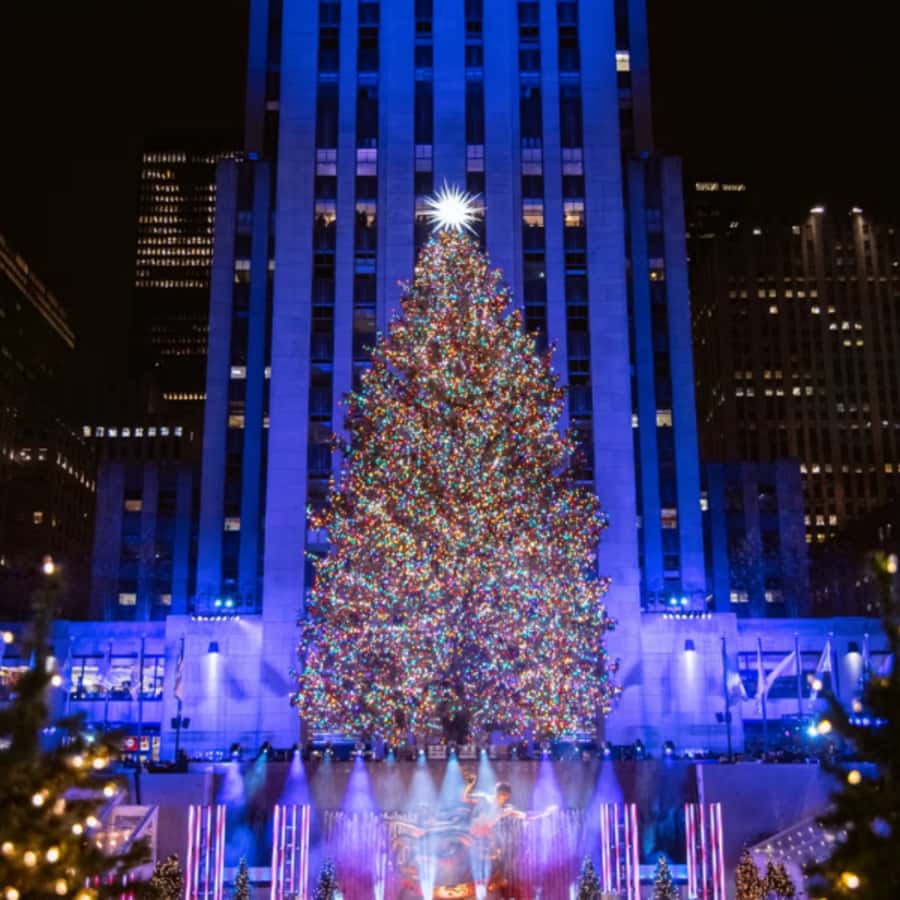 Christmas in New York: Pedicab Tour & Rockefeller Tree - Celebrating Holiday Traditions at Herald Square