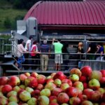 Cider House Experience From San Sebastian - Guide Expertise and Guest Experience