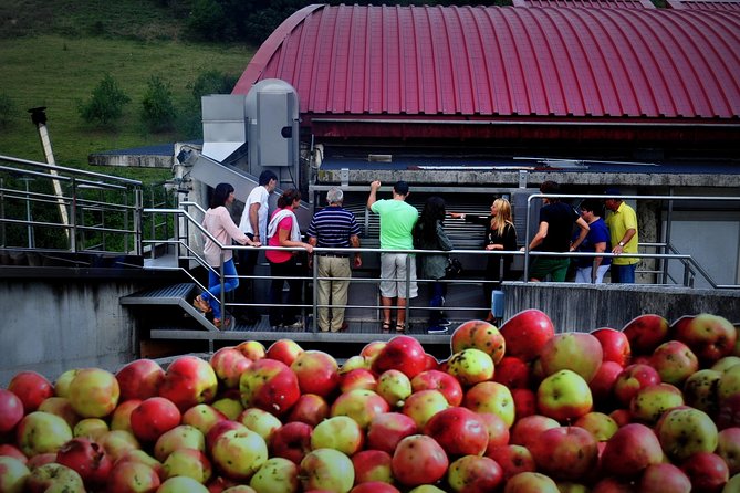 Cider House Experience From San Sebastian - Guide Expertise and Guest Experience