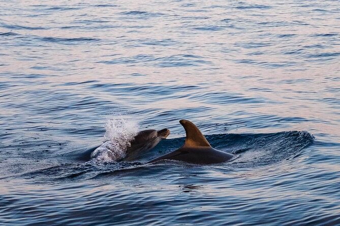 Cinque Terre Boat Tours Experience - Starting Point and Group Size
