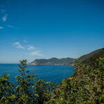 Cinque Terre Day Trip from Florence with Optional Hiking - Scenic Hikes Through the National Park