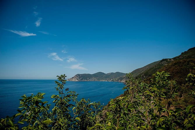 Cinque Terre Day Trip from Florence with Optional Hiking - Scenic Hikes Through the National Park