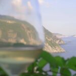 Cinque Terre Private Wine And Views Tour - Scenic viewpoints and highlights at each stop