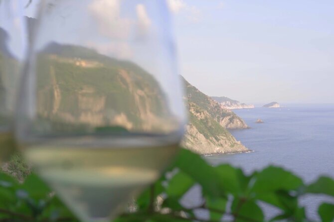Cinque Terre Private Wine And Views Tour - Scenic viewpoints and highlights at each stop