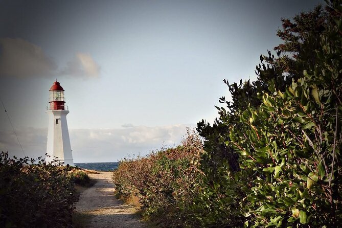 City and Coastal Highlights Museum and Lighthouse Stops Tour - The Natural Beauty of Polar Bear Beach and Open Hearth Park