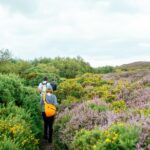 City Explorer: Howth Private Day Trip - The Meeting Point and Transport Logistics in Dublin