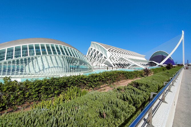 City of Arts and Sciences Bike Tour - Accessibility and Suitability for Different Travelers