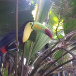 City Tour Villahermosa - Start at the Museo La Venta: Olmec Art and Artifacts