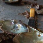 CityTour to San Jose, Cabo San Lucas and Arch Tour in Clearboat - Starting Your Day with the Arch of Cabo San Lucas in a Clearboat