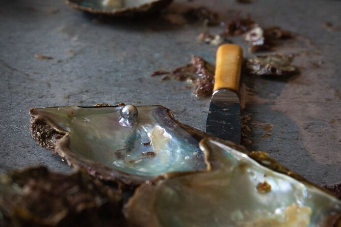 CityTour to San Jose, Cabo San Lucas and Arch Tour in Clearboat - Starting Your Day with the Arch of Cabo San Lucas in a Clearboat