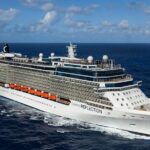 Civitavecchia Port Private Luxury Transfer - Meeting Point and Accessibility at Civitavecchia Port