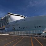 Civitavecchia to Fiumicino airport - Private Transfer - Comfortable, air-conditioned private vehicle with luggage space