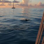 Classic Key West Schooner Sunset Sail with Full Open Bar - The Experience on Board: Sails, Drinks, and Atmosphere