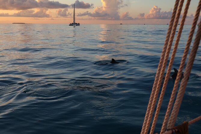 Classic Key West Schooner Sunset Sail with Full Open Bar - The Experience on Board: Sails, Drinks, and Atmosphere