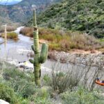 Classic Salt River Raft Trip - Riverside Lunch with Vegetarian Options Included