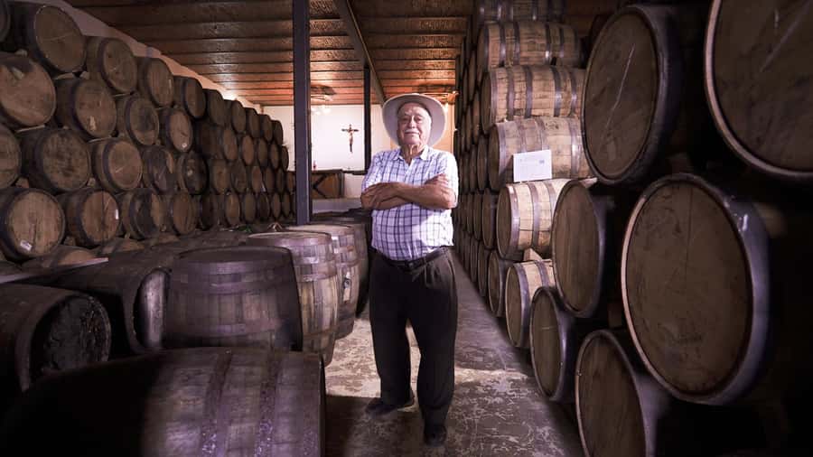 Classic Tequila Route Tour from Guadalajara and a few drinks at El Güero!!! - Starting Point and Tour Duration in Guadalajara