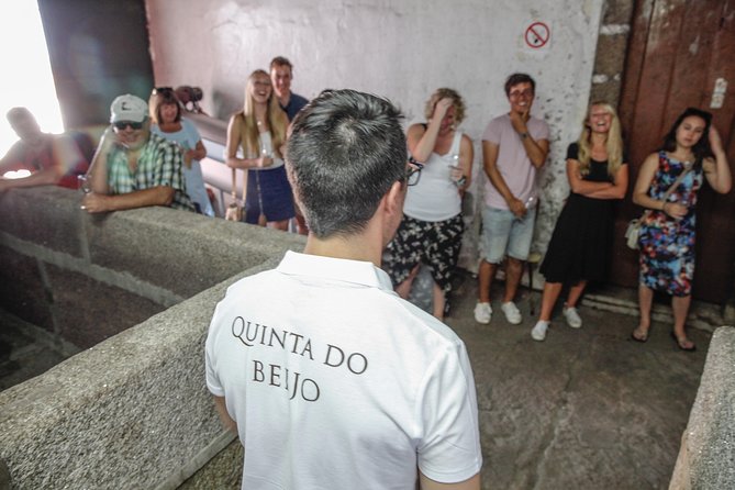 Classic Wine Tasting with GUIDED TOUR - Visiting Quinta do Beijo: An Authentic Portuguese Winery