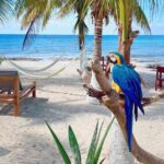 Clear Boat and Island Tour by Buggy with Mayan Experience - Lunch and Relaxation at San Martin Beach