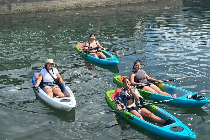 Clear Bottom Kayak Rental for Kings Bay Three Sisters Springs - Practical Details of the Meeting Point and Duration