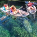 Clear Kayak Manatee Ecotour of Crystal River - Exploring the Natural Springs of Crystal River