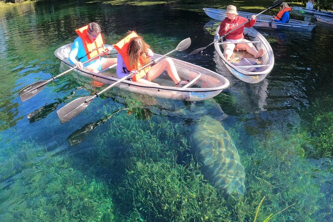 Clear Kayak Manatee Ecotour of Crystal River - Exploring the Natural Springs of Crystal River