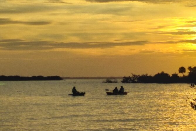 Clear Kayak Sunset Tour - Cocoa Beach - The Experience of Gliding in Crystal-Clear Kayaks