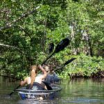 Clear Kayak Tour in North Miami Beach - Mangrove Tunnels - The Role of the Professional Guide