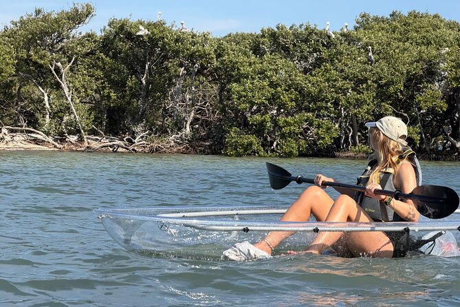 Clear Kayak Tour of Clearwater Beach - Set out on a Unique Scenic Paddle in Clear Kayaks