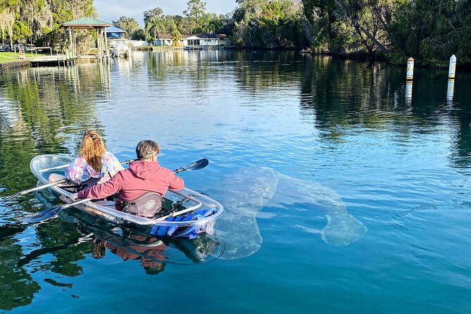 Clear Kayak Tour of Crystal River - Meeting Point: Kings Bay Park in Crystal River