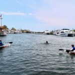 Clear Kayak Tour of Tarpon Springs Sponge Docks & Mangroves - Starting Point and Meeting Details