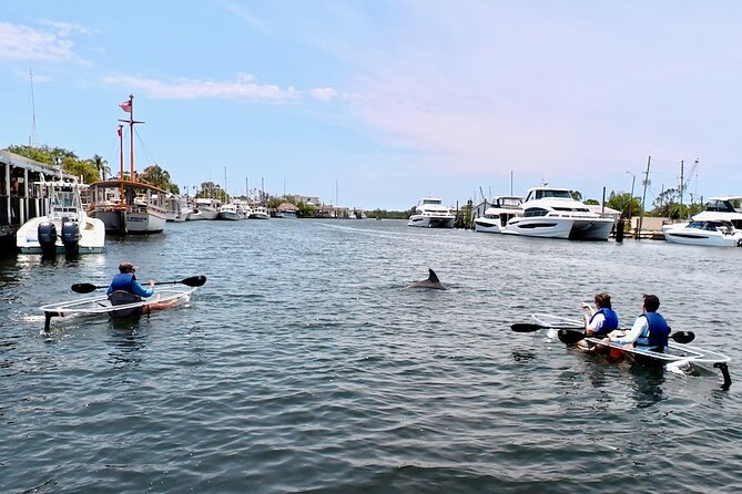 Clear Kayak Tour of Tarpon Springs Sponge Docks & Mangroves - Starting Point and Meeting Details