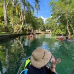Clear Kayak Tours in Weeki Wachee - Exploring Weeki Wachees Waterways in a Clear Kayak