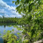 Clear Kayaking Eco Adventure Tour in Marianna - Exploring the Underwater Caves Near Marianna