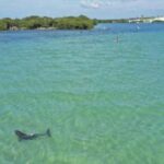 Clearwater Beach: Clear Kayak Tour with an ecotour guide - Meeting at Clearwater Beach Boat Ramp for Easy Access