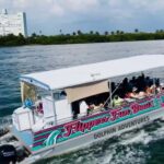 Clearwater Beach: Dolphin Excursion - Flippers Fun Boat - What to Expect During the Dolphin Sighting Tour