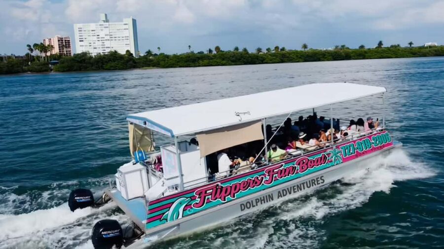 Clearwater Beach: Dolphin Excursion - Flippers Fun Boat - What to Expect During the Dolphin Sighting Tour
