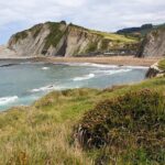 CLIFFS, GRILLED FISH and TXAKOLI WINE - Private Gastronomic Adventure - Tasting Txakoli: A Unique Basque White Wine