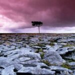 Cliffs of Moher, Aran Island & Burren tour from Galway. Guided. - Exploring Inisheer: The Smallest Aran Island