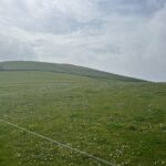 Cliffs of Moher Private Tour from Killarney - Starting from Killarney: Convenient Pickup and Drop-Off