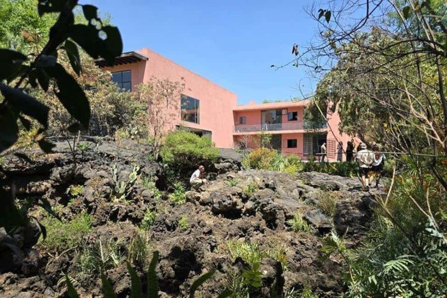 CMDX: Luis Barragan Legacy Exclusive Tour at Casa Pedregal - The Guide and Tour Experience