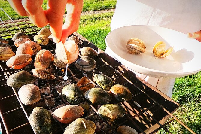 Coast, fish and txakoli wine - Visiting a Traditional Fishing Village and Collecting Seafood