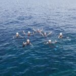 Coasteering Mallorca - What Activities Are Included in the Coasteering Tour?