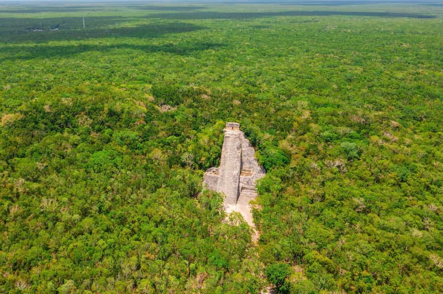 Coba, Cenote and Maya Village: Exclusive 3-in-1 Tour - Pickup and Transfer Logistics in Quintana Roo
