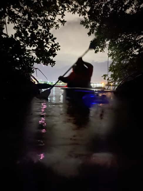 Cocoa Beach: Clear Kayak Sunset & Bioluminescence Tour - The Experience of Gliding Through Banana River in Clear Kayaks