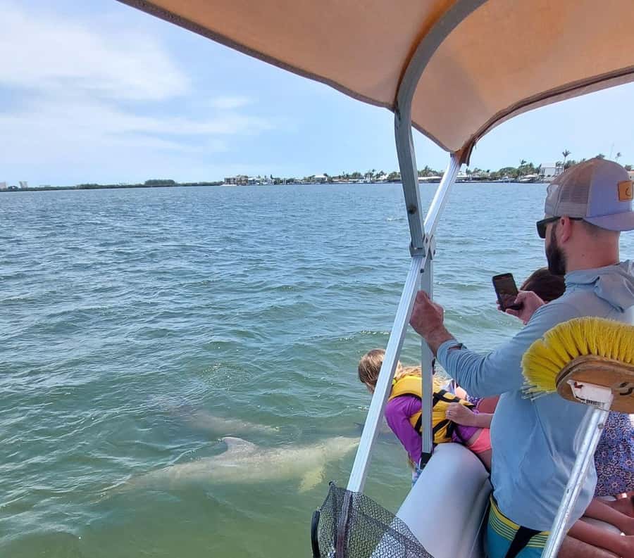 Cocoa Beach: Dolphin & Manatee Small Group Eco Boat Tour - Accessing the Shallow Waters and Hidden Lagoons